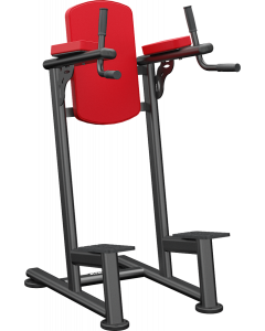 Standing leg raise