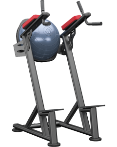 Standing Leg Raise (With Bosu)