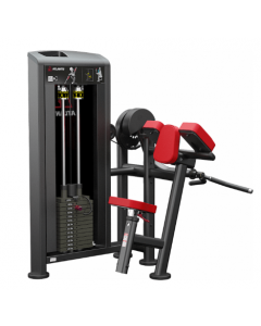 Biceps curl