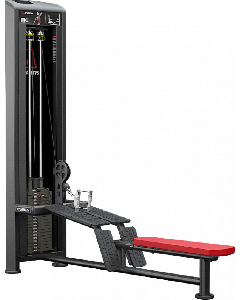Atlantis D-124 Low Row
