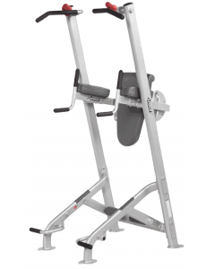 HF-5962 Fitness Tree