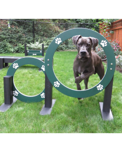 DOG ON IT EcoDog Double Hoop Jump