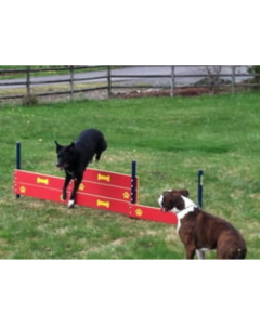 DOG ON IT Tri-Level Dog Park Agility Jump