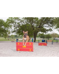DOG ON IT  Wall Jump - Triple