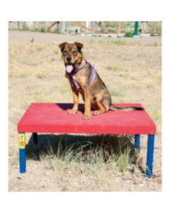 DOG ON IT Wait Table, 8" or 16" H