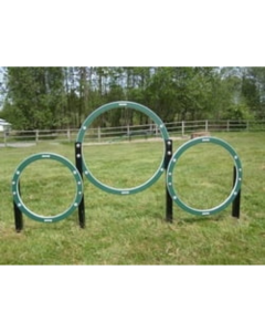 DOG ON IT Husky Triple Hoop