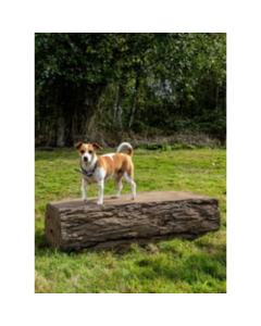 DOG ON IT NatureDog™ Dog Leg Walk