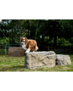 DOG ON IT NatureDog™ Large Boulder