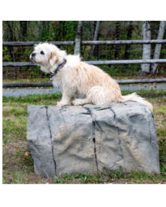 DOG ON IT  NatureDog™ Small Boulder	
