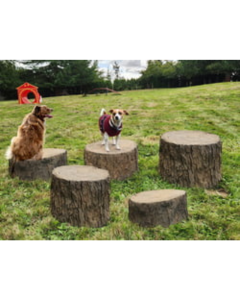 DOG ON IT NatureDog™ Stump Jump Set