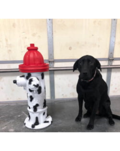 DOG ON IT Dalmatian Fire Hydrant