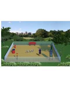 DOG ON IT Basics Plus Amenities Package